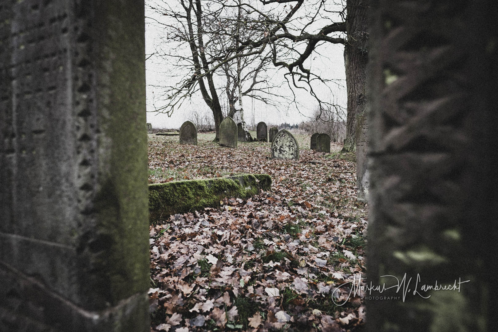 Mackensen (Dassel), Jüdischer Friedhof